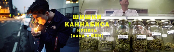 скорость Каменка