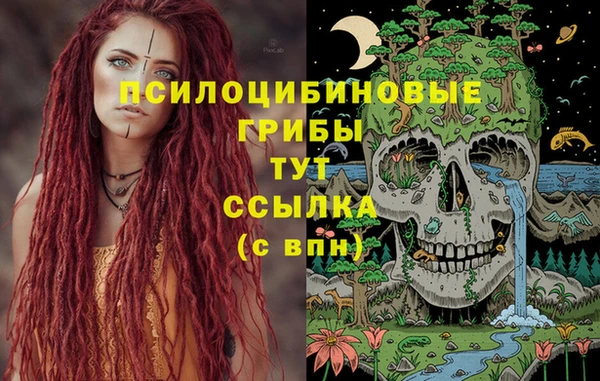 спайс Касимов