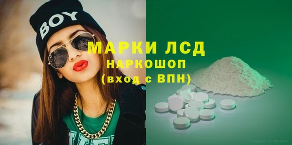 скорость Каменка