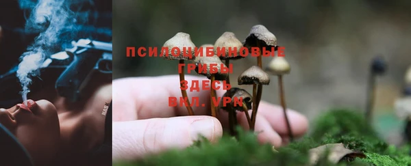 мдпв Карталы