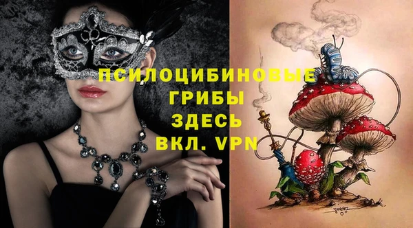 трава Каменногорск
