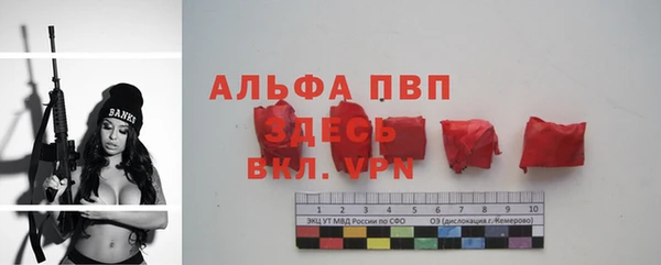 спайс Касимов
