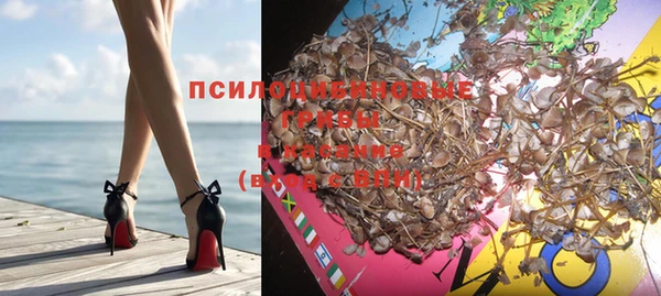 спайс Касимов