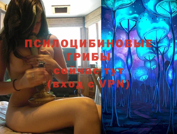 СК Каменск-Шахтинский