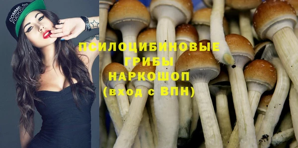 трава Каменногорск