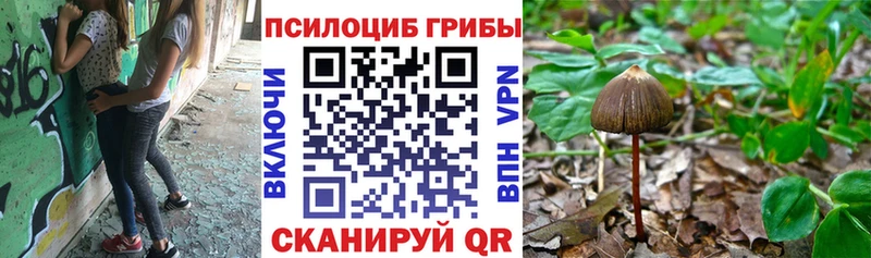Купить  Гусиноозёрск  Псилоцибиновые грибы Magic Shrooms 